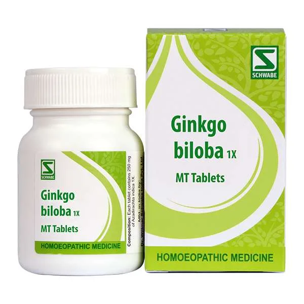 Dr. Willmar Schwabe India Ginkgo biloba Mother Tincture