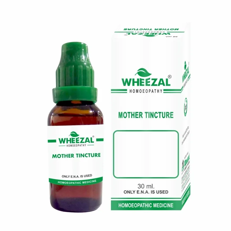 Wheezal Chimaphila Umbellata Q